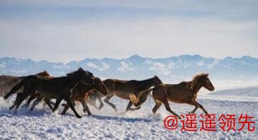 冰雪昭苏迎客来