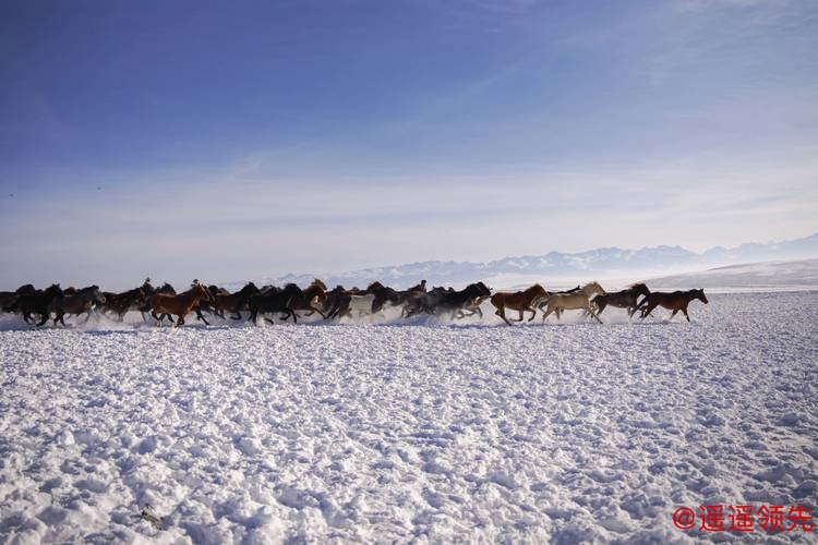 冰雪昭苏迎客来