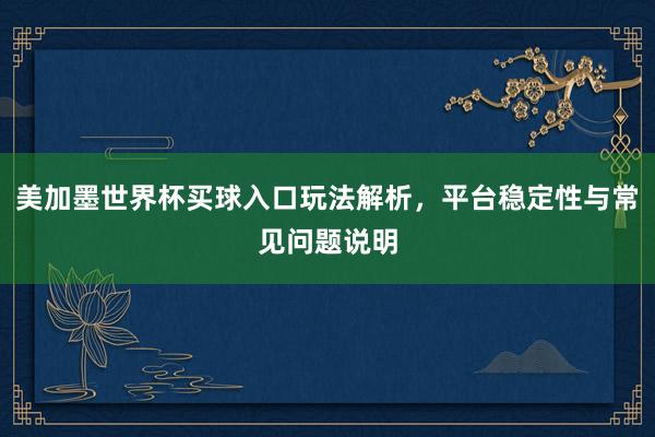 美加墨世界杯买球入口玩法解析，平台稳定性与常见问题说明